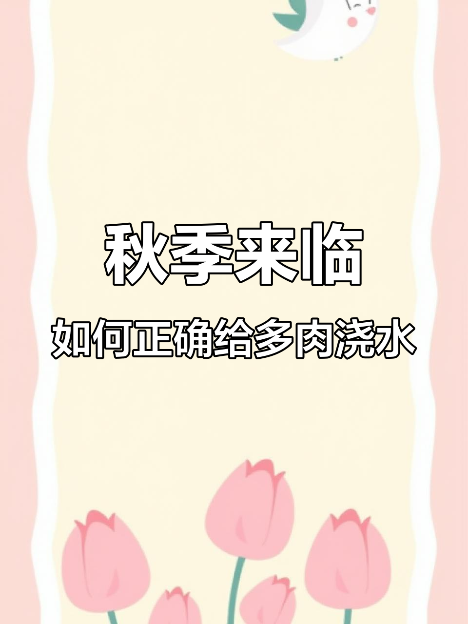 立秋后多肉养护技巧,避免夏季休眠品种过度浇水