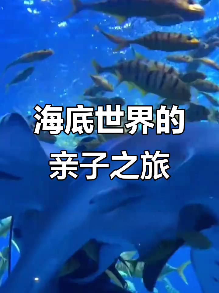 亲子游新选择!太平洋海底世界带你探索深海奥秘