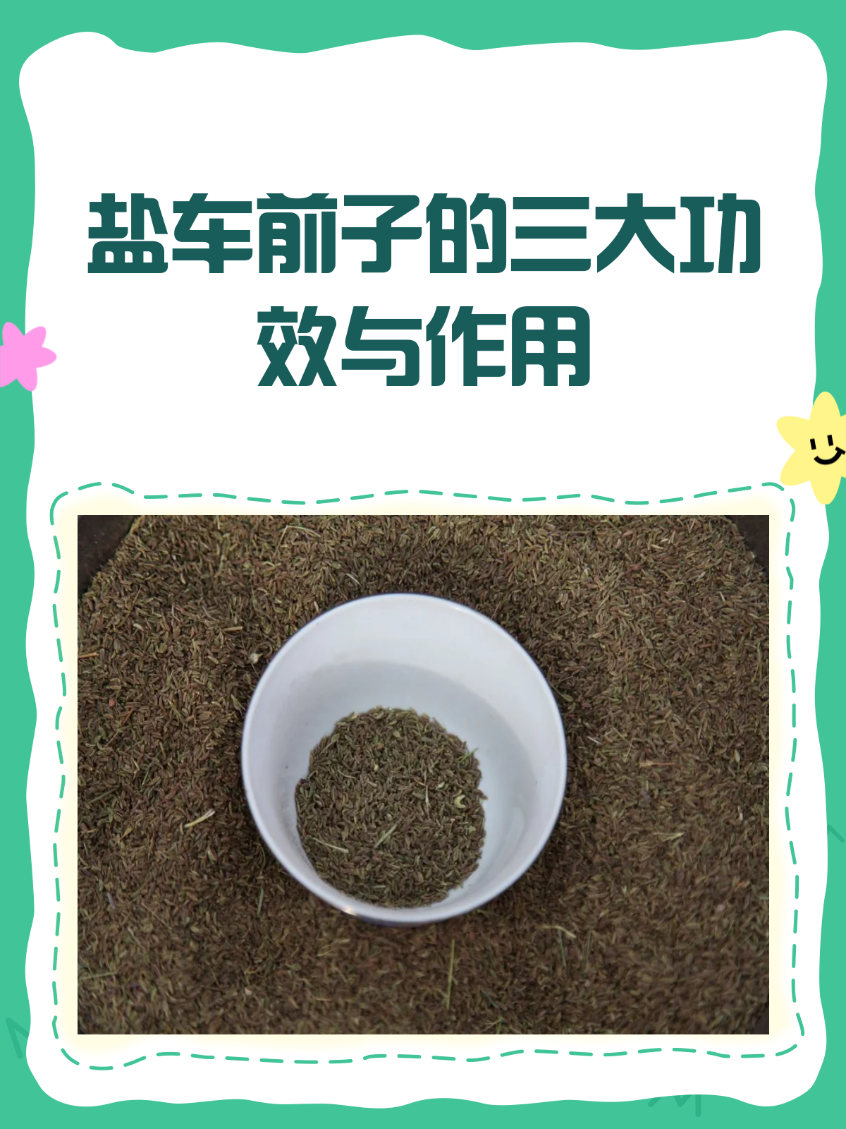 盐车前子:清热利尿又明目,但这些人慎用!