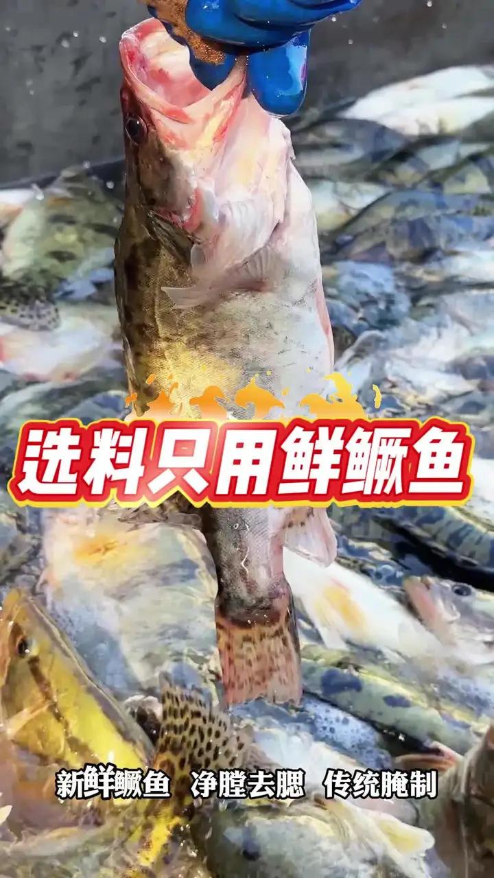 好的臭鳜鱼,其原料只用鲜鳜鱼,拒绝使用低成本死鱼