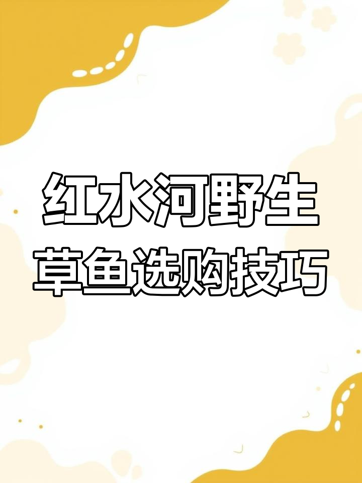如何挑选正宗红水河草鱼