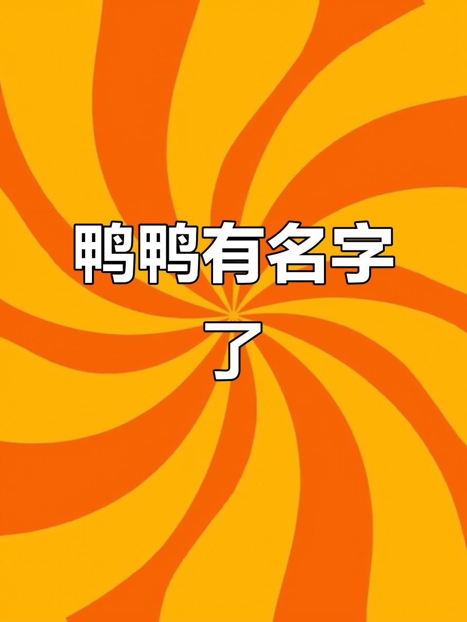 网红鸭鸭有了新名字,咖啡也来啦!