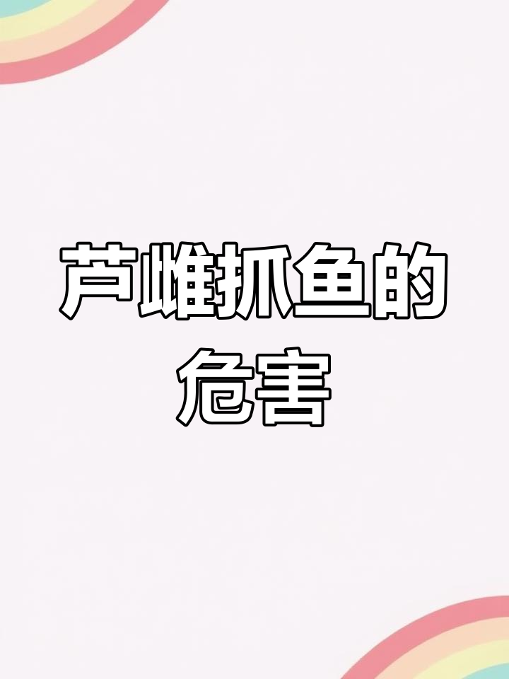 鸬鹚捕鱼为何被禁?千年技艺背后的隐患
