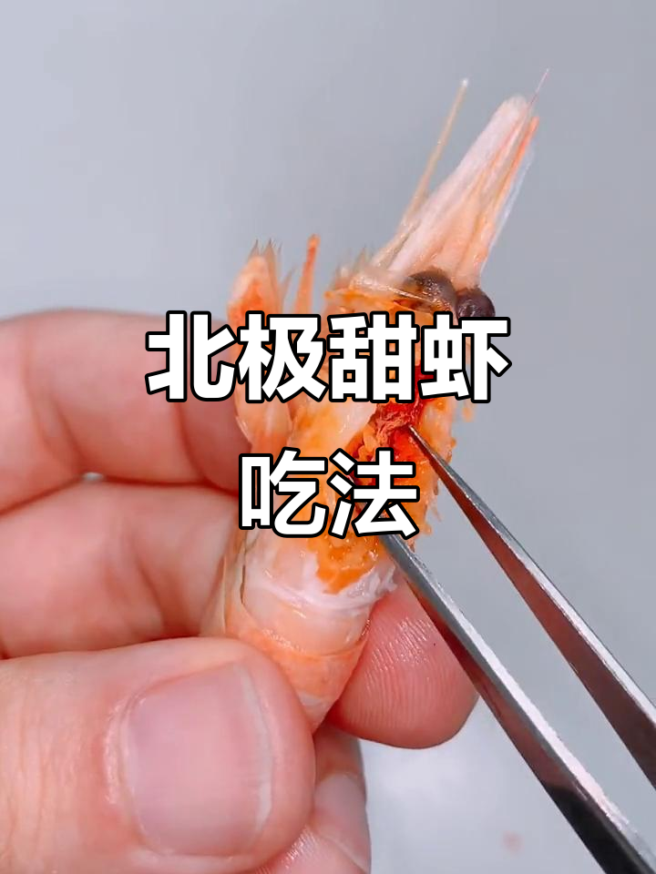 北极甜虾的正确吃法,海鲜美味轻松掌握!