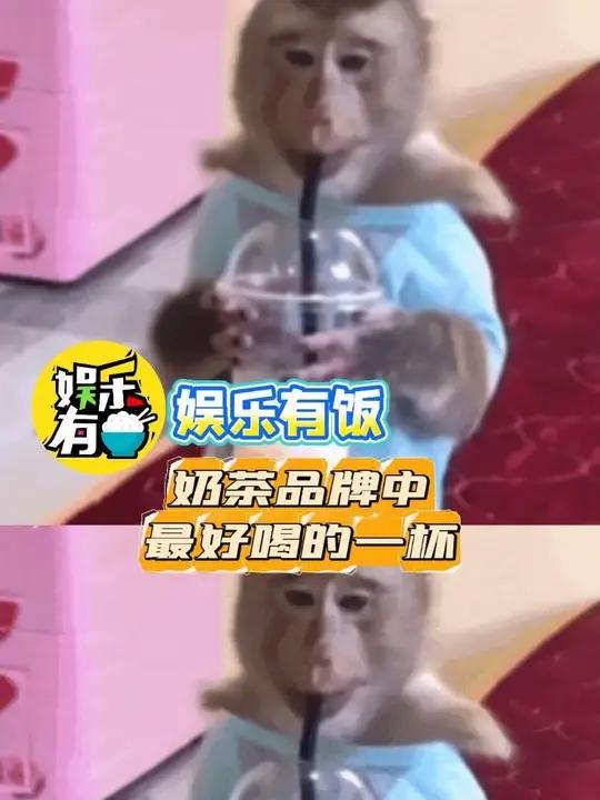 奶茶品牌中最好喝的一杯