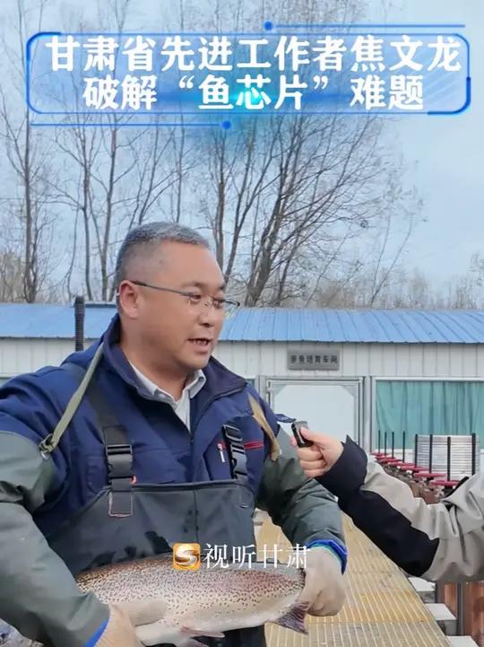 甘肃省先进工作者焦文龙带领团队破解“鲑鳟鱼芯片”难题。甘肃省水产研究所实现中国虹鳟鱼种源自