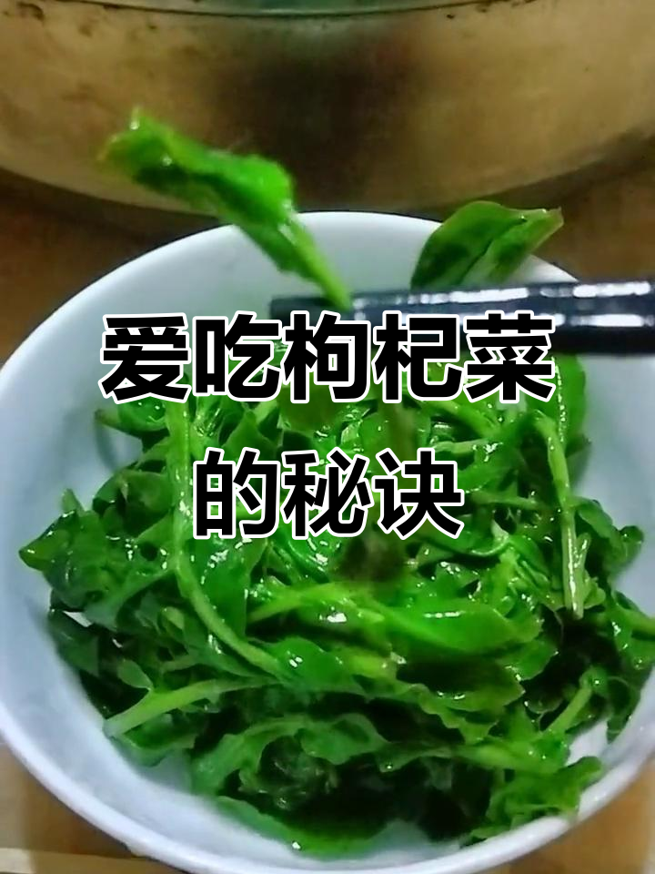 枸杞菜的美味秘密,吃出健康与幸福