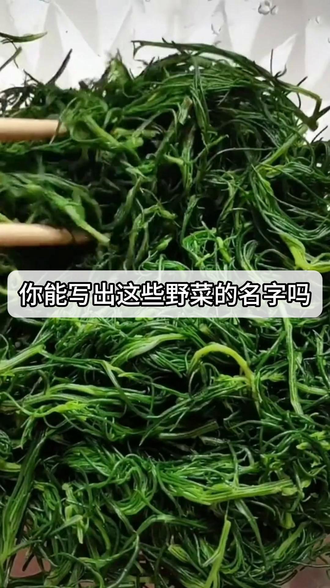 你能写出这些野菜的名字吗?