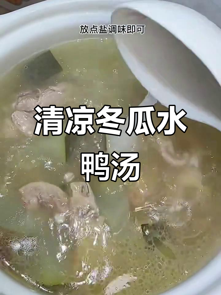广东夏季必备冬瓜水鸭汤,清热解暑又美味