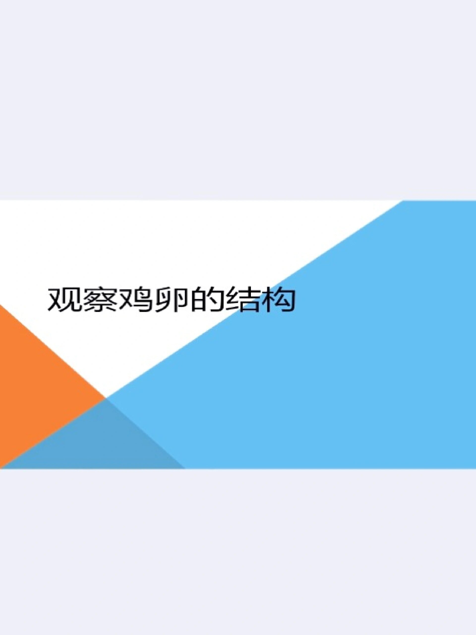 观察鸡卵的结构 课件完整