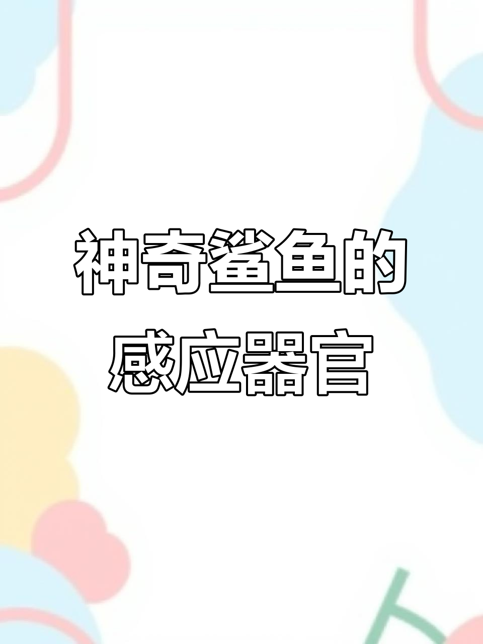 鲨鱼自带雷达，海底火山岛屿成捕猎天堂