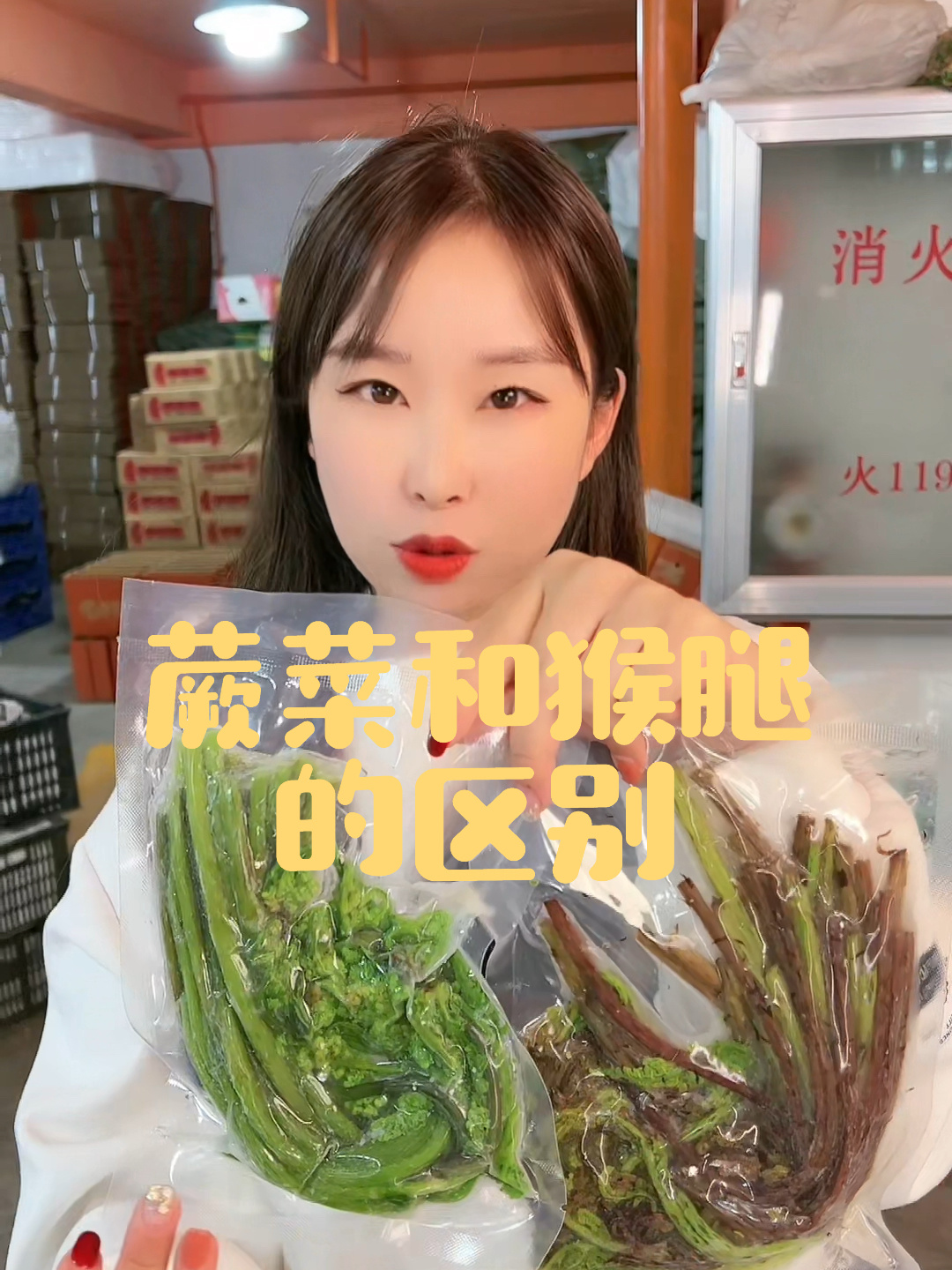 东北速冻山野菜