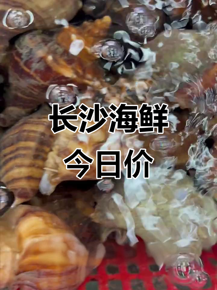 长沙海鲜市场3月3日行情,波士顿龙虾、大连红海螺等价格大揭秘