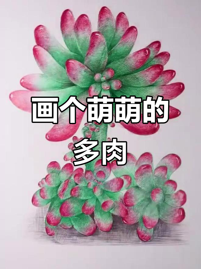 手绘多肉植物，画出萌感十足的“小肉球”