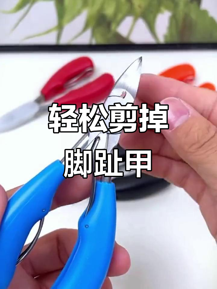 有了这个鹰嘴钳指甲刀，脚指甲再也不会长到肉里了