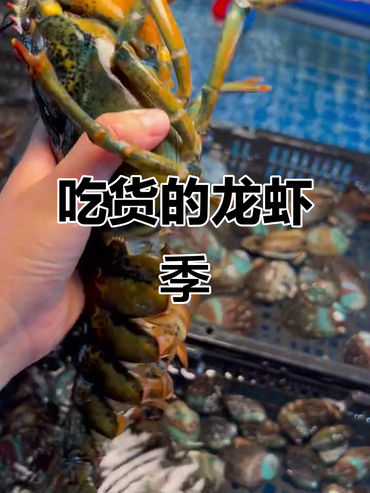 波士顿龙虾大快朵颐,肥美季节尽情享受