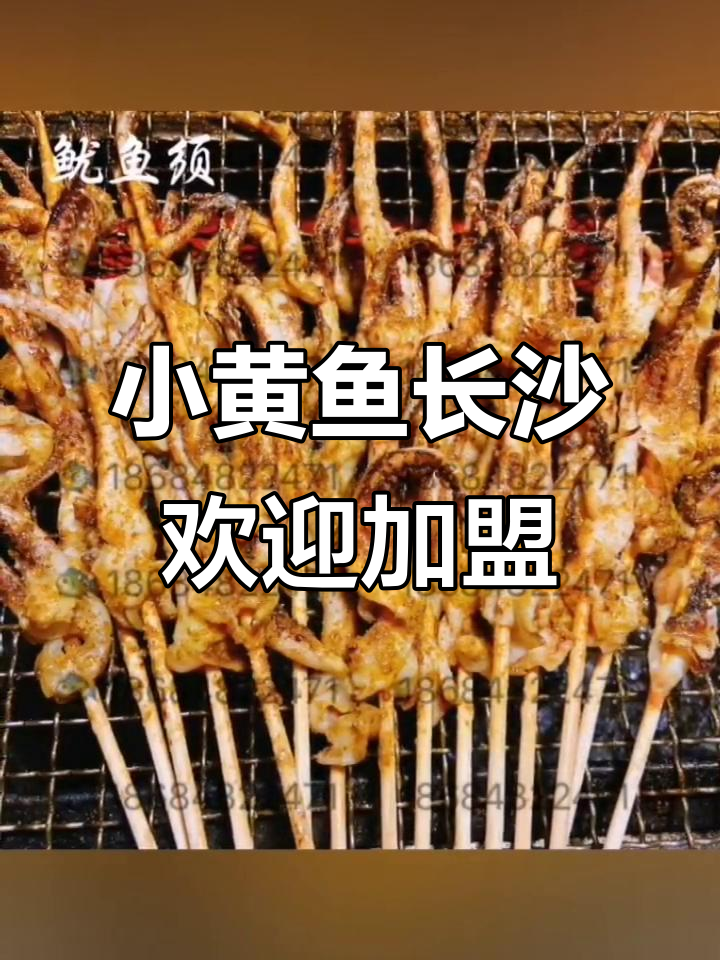 夜猫子小黄鱼长沙总店,诚邀加盟共创辉煌