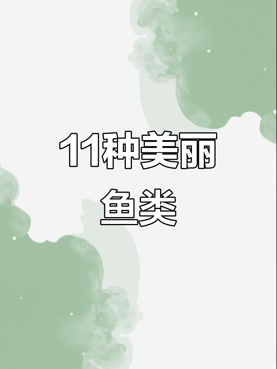 11种奇特观赏鱼,看看你最喜欢哪一种?