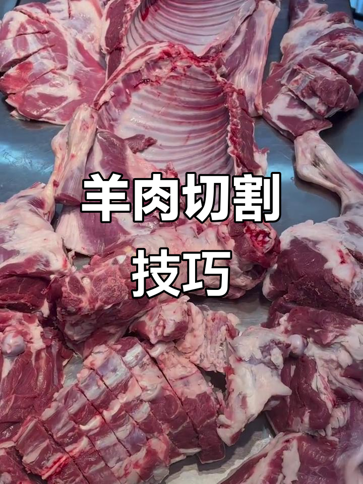 整羊分割全过程,手把肉、烤串都能轻松搞定