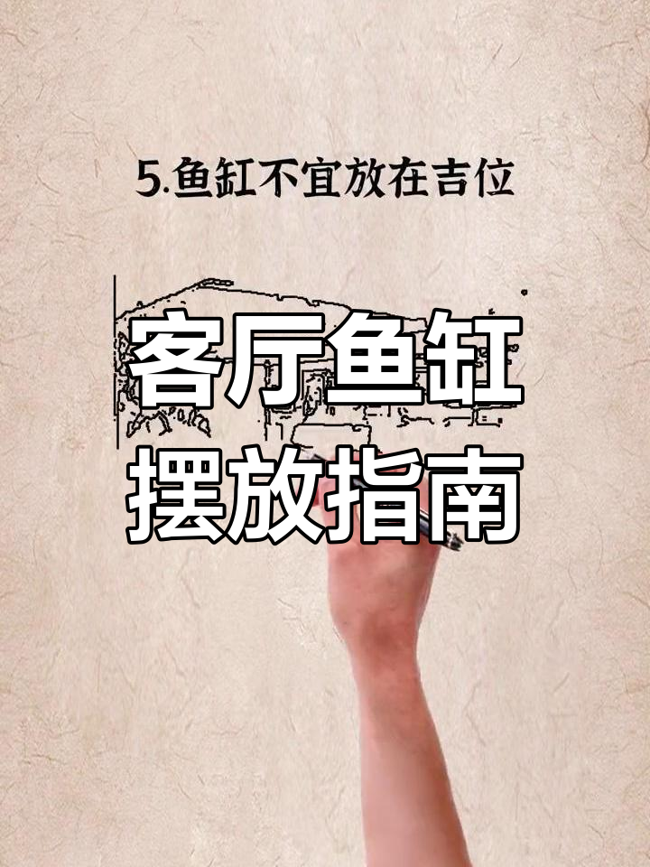 客厅鱼缸摆放的风水禁忌,避开这些位置更吉利