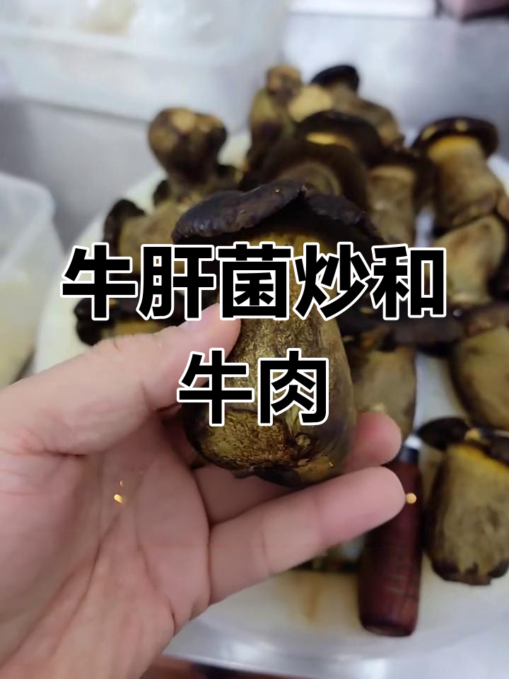 经典粤菜牛肝菌炒和牛肉,鲜香四溢的完美搭配