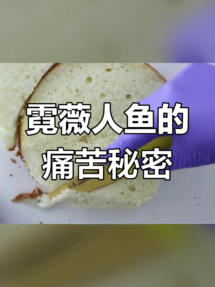 人鱼油熬制与鳞片切割的辛酸历程