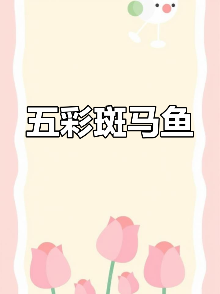 斑马鱼色彩缤纷,新手轻松饲养,超有趣!