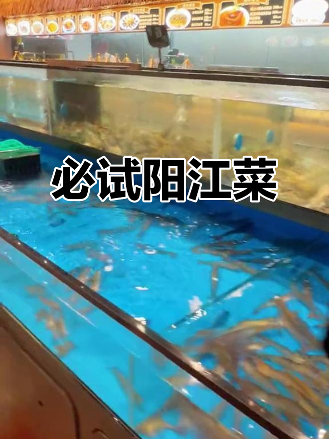 阳江海鲜与地方美食大揭秘,家庭聚餐首选!