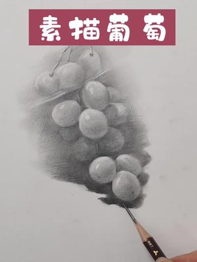 还记得刚学素描时葡萄是一颗一颗抠着画,不知道有多少同学和我一样 绘画过程 零基础学画画 素