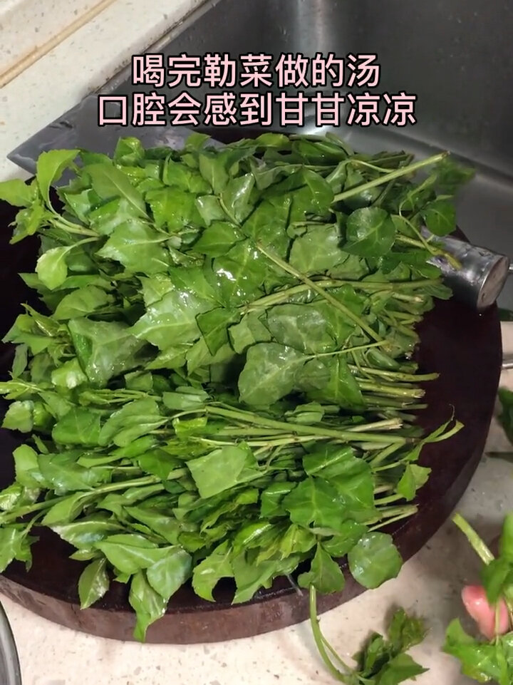 簕菜,你知道怎么吃吗?