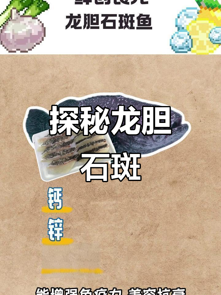 龙胆石斑鱼:深海巨无霸,肉质鲜美又营养