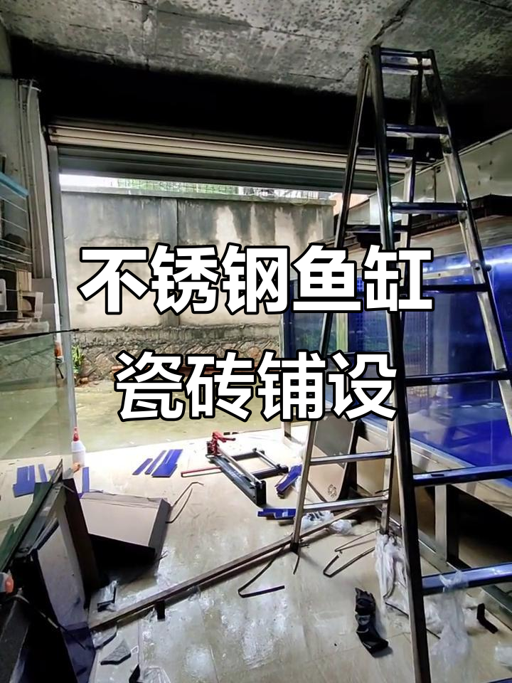 不锈钢鱼缸瓷砖铺贴大揭秘,蓝色小砖效果惊艳!