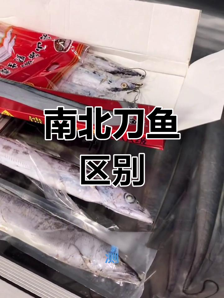 刀鱼和带鱼的真相,南北差异大揭秘