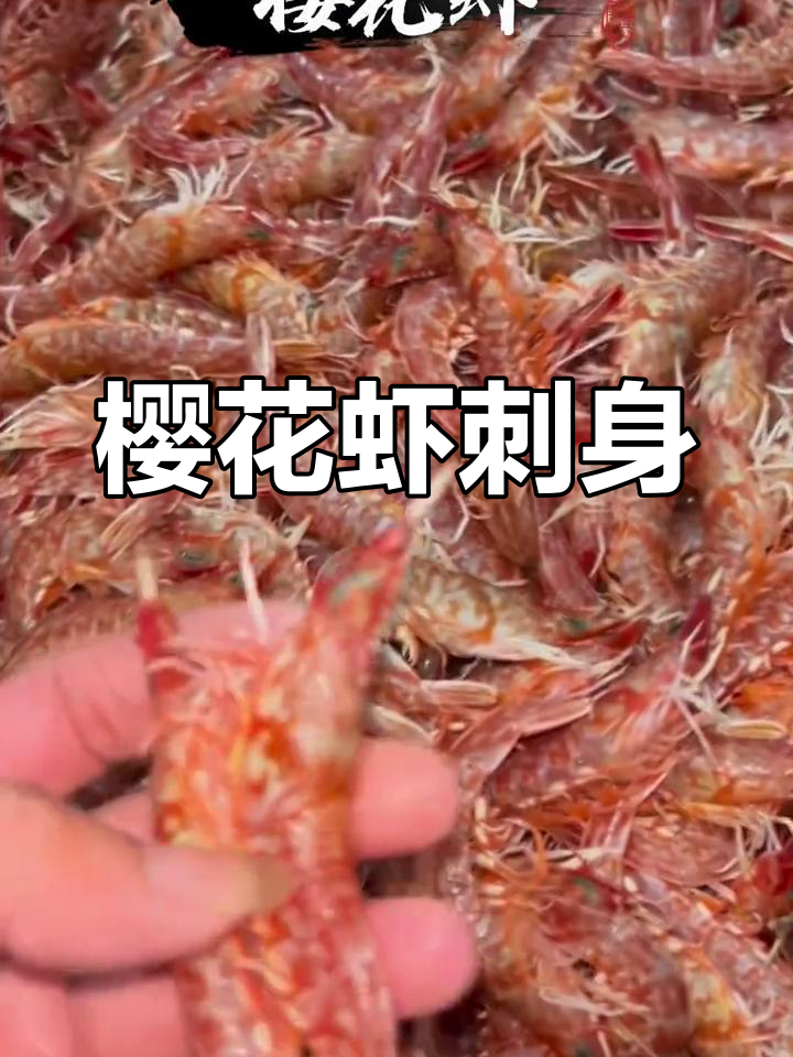 樱花虾刺身:海鲜的极致诱惑,鲜美无比!