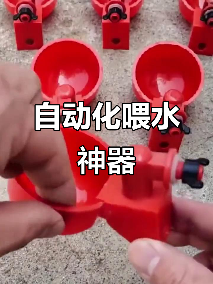 自动饮水器让养鸡鸭更轻松,水满自停省心又实用