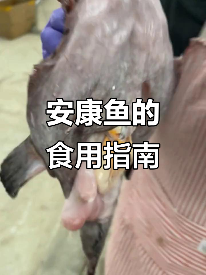 安康鱼哪些部位能吃?皮、肝、肚全解析