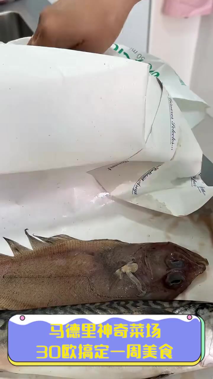 马德里神奇菜场,30欧搞定一周美食