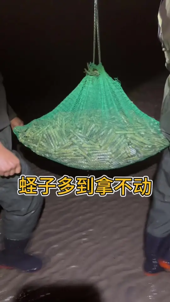 夜海免费挖蛏子,鲅鱼圈旅游好去处!