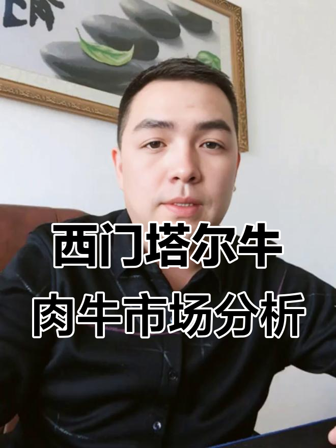 吉林省西门塔尔肉牛行情分析,选牛时机与价格解析