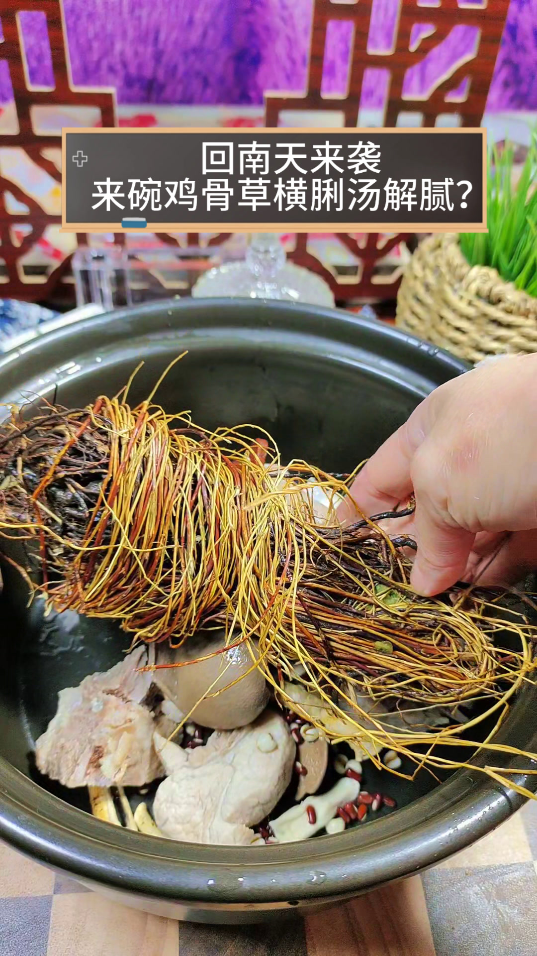 回南天来袭,来碗鸡骨草横脷汤解腻?