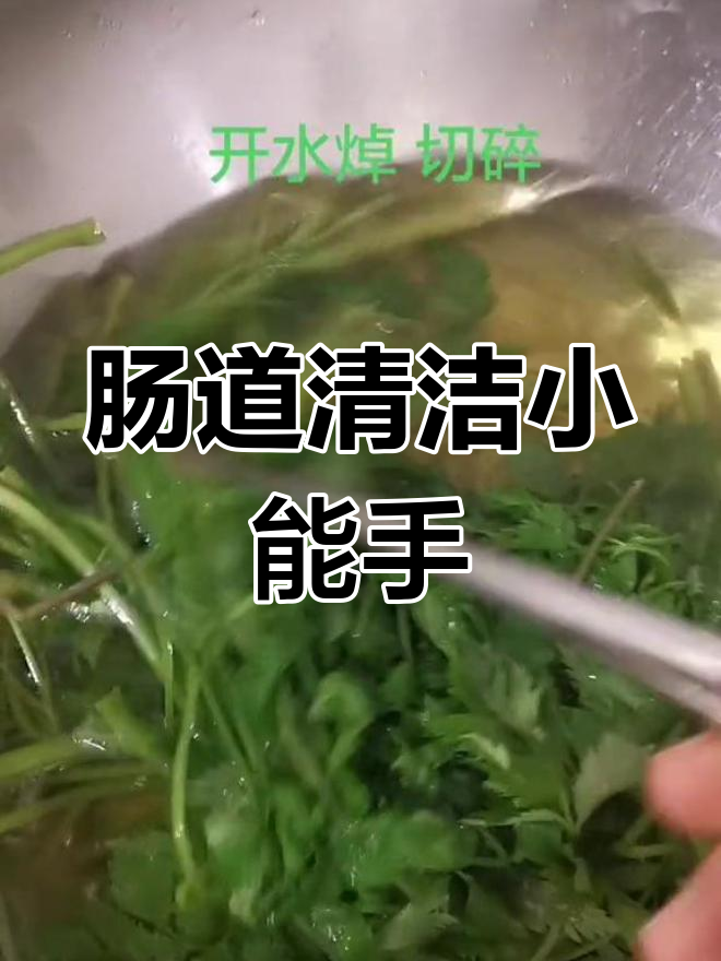 小叶芹清肠排毒,但脾胃虚弱者慎用
