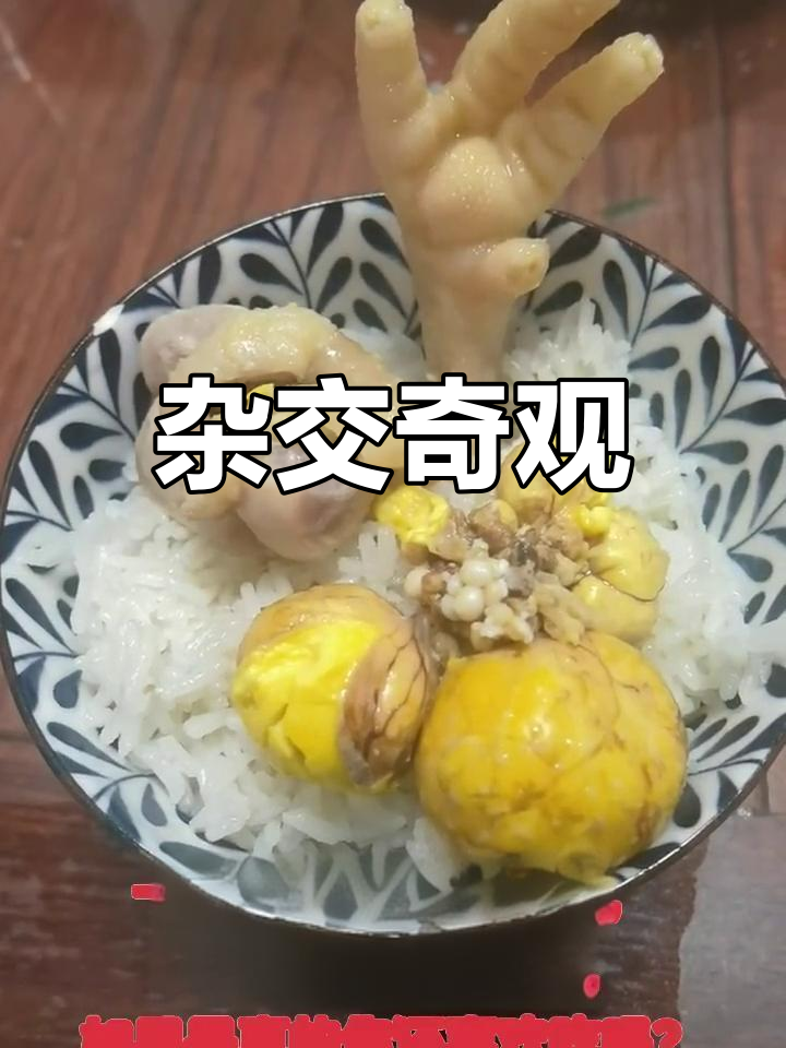 一只鸡能下三蛋,长出20翅膀?这简直是超乎想象的奇迹!