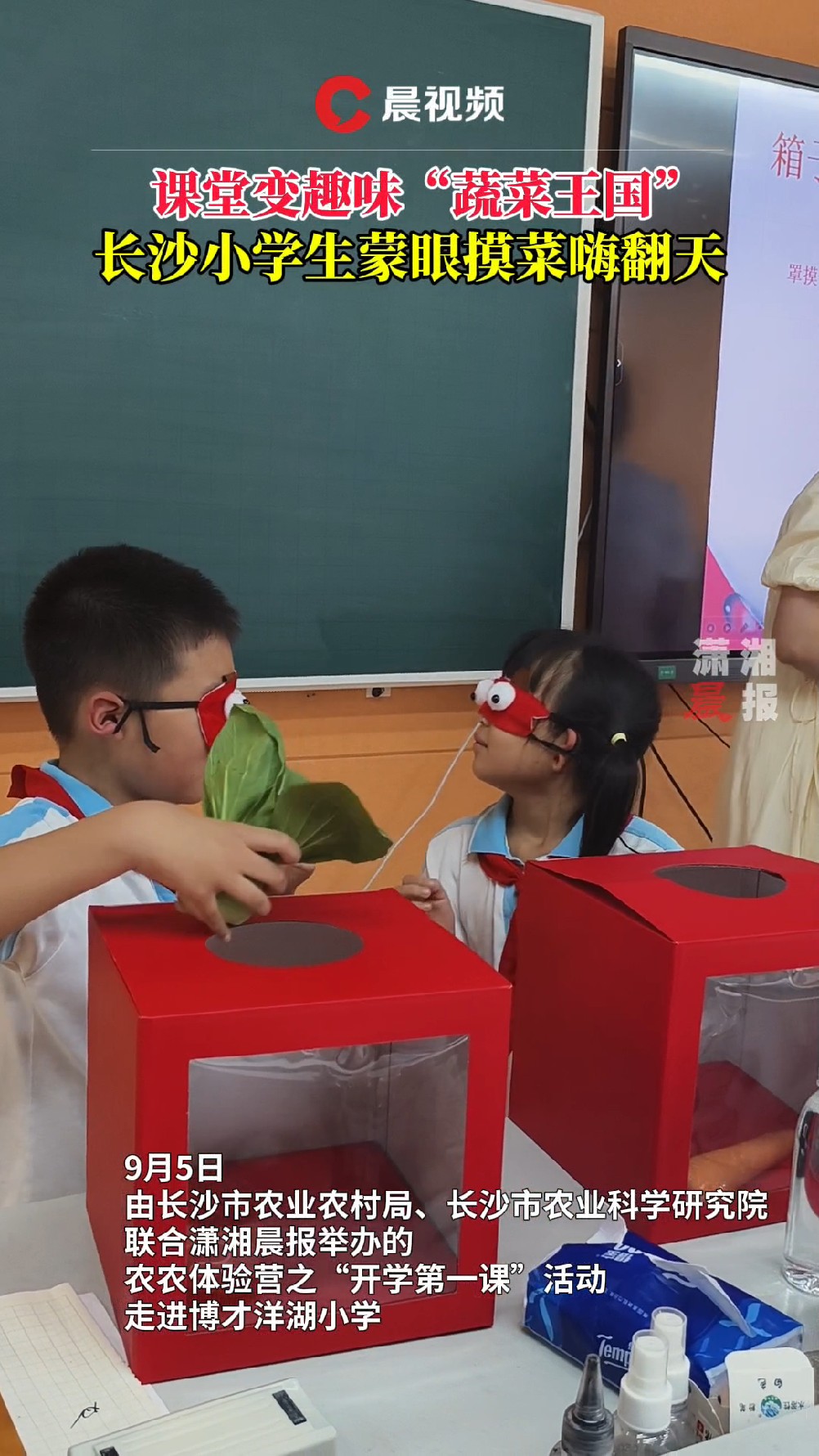 课堂变趣味“蔬菜王国”，长沙小学生挑战蒙眼摸菜嗨翻天