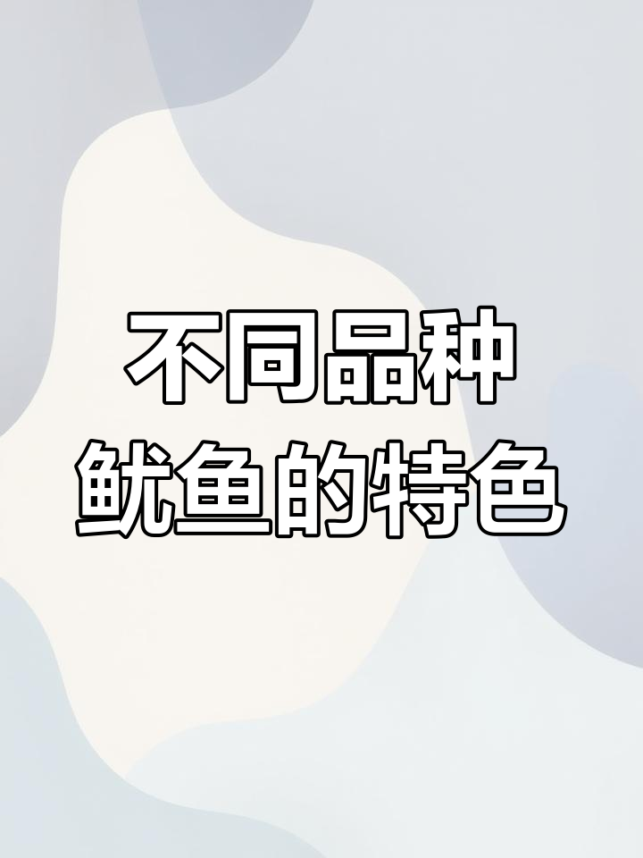 鱿鱼种类大揭秘:阿根廷、秘鲁与鼻冠的口感差异