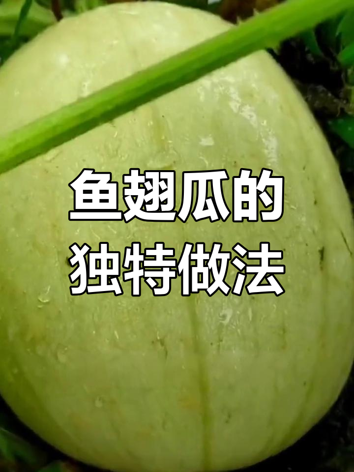 鱼翅瓜蒸煮后如粉丝，简单调味香气扑鼻