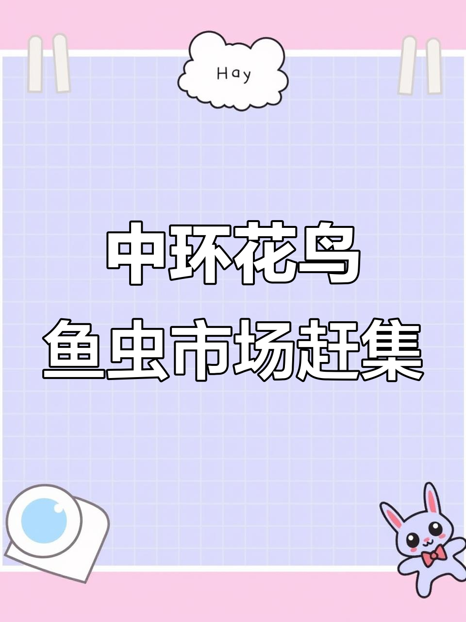 天津中环花鸟鱼虫市场大集,露天摊位逛不停