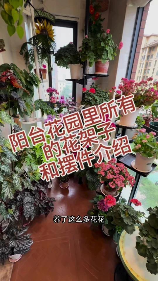 我家阳台花园里所有的花架子和摆件
