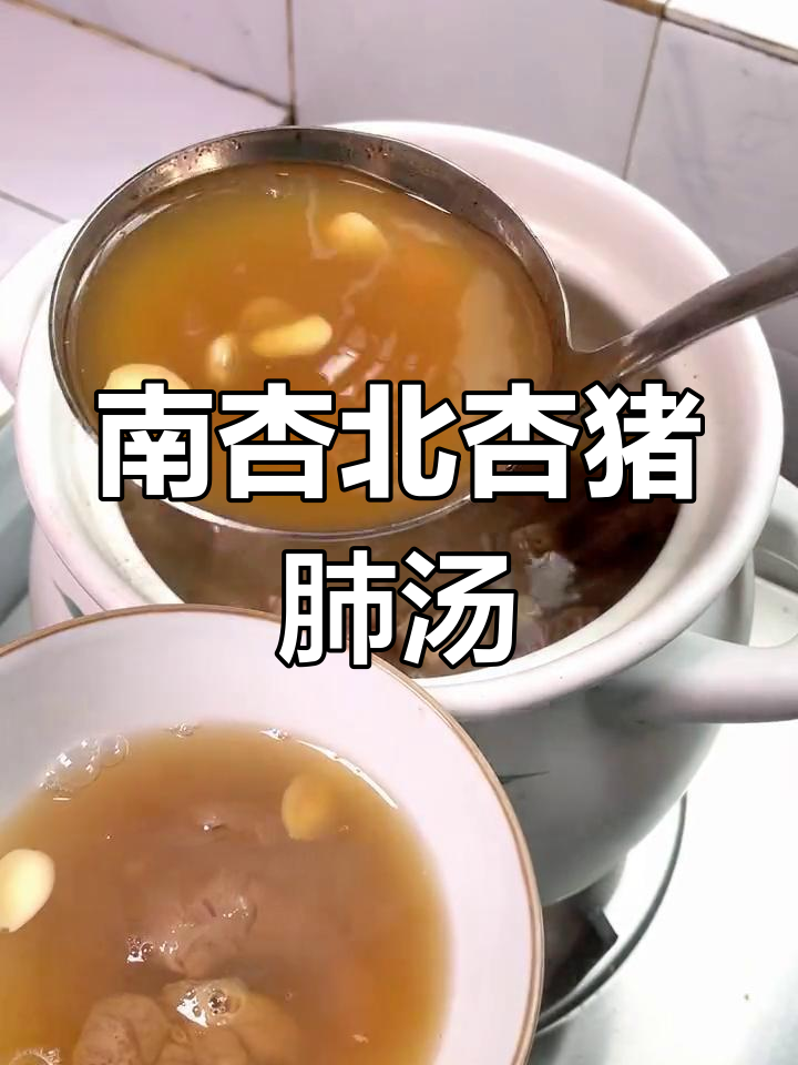 润肺止咳南杏北杏猪肺汤