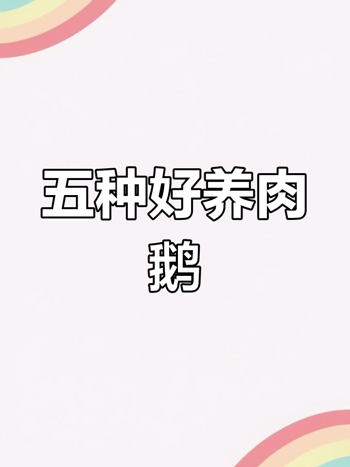 适合养殖的五种高效鹅品种