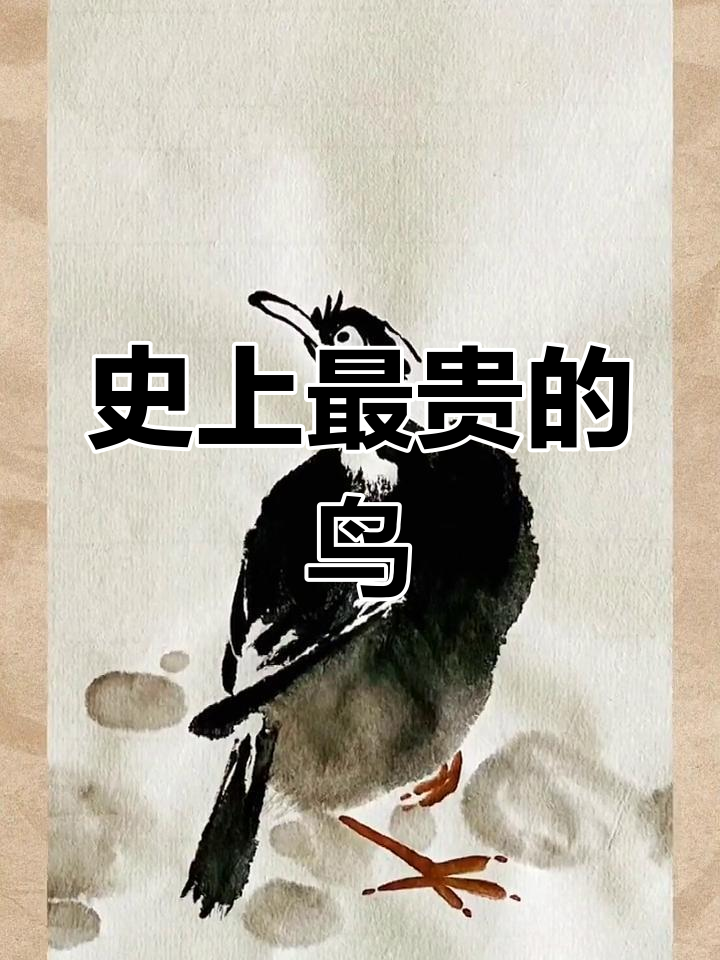 八大山人画史上最贵鸟,白眼让人忍俊不禁